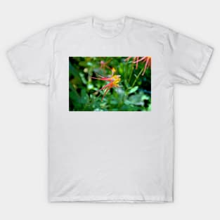 WP Floral Study 3 2014 T-Shirt